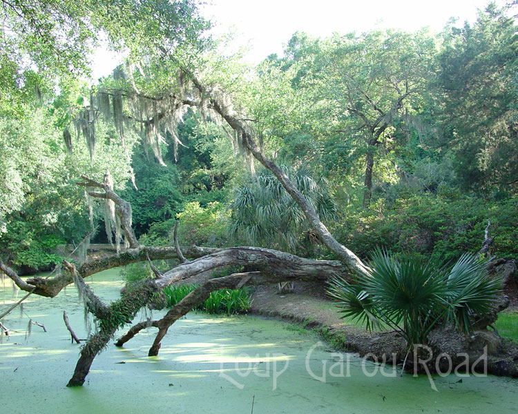 Avery Island