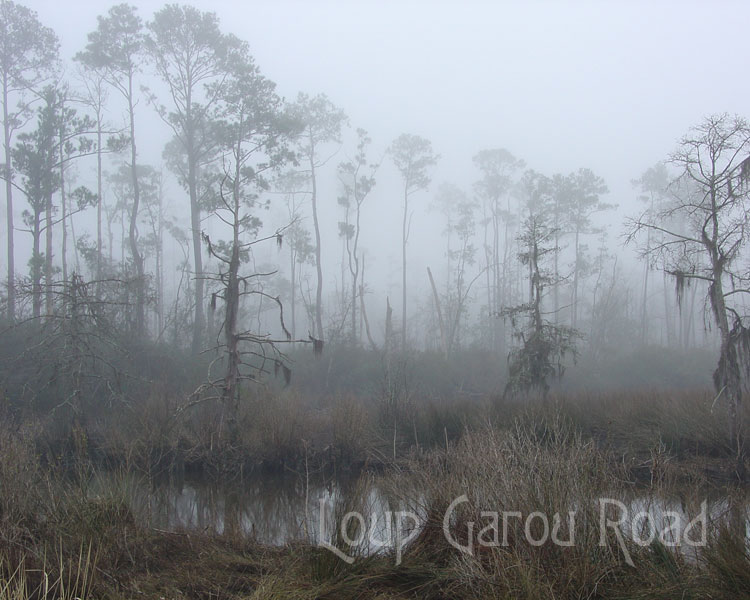 Fog on Bayou Paquet 2