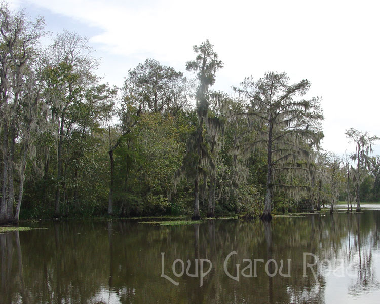 On Bayou Boeuf 2