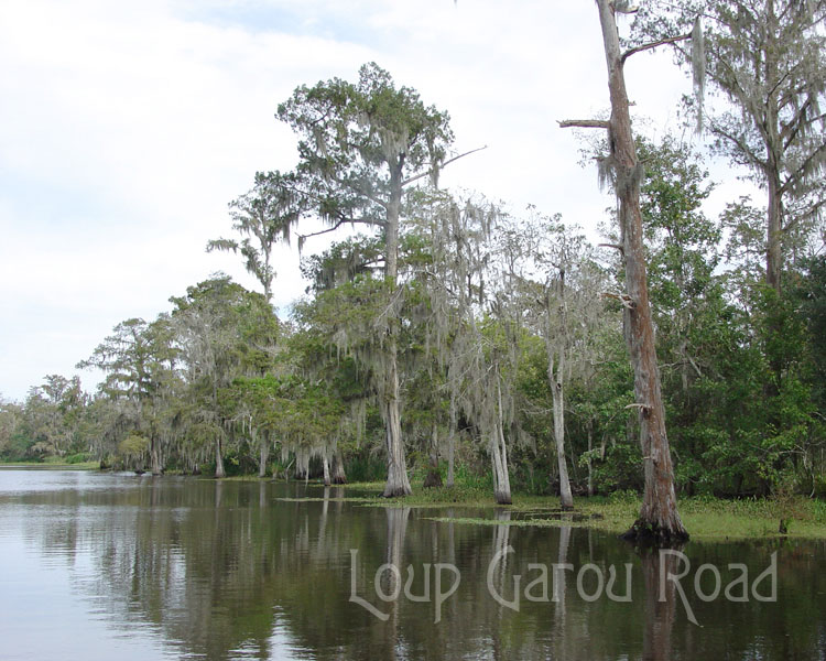 On Bayou Boeuf 4