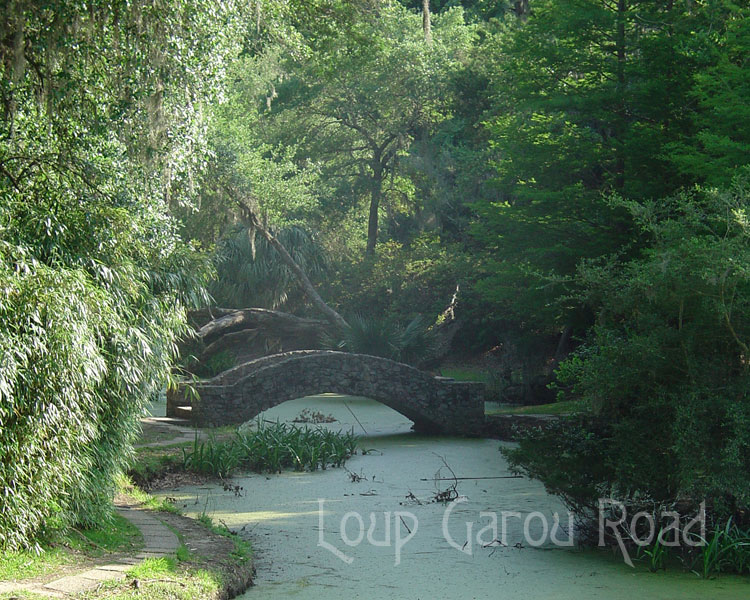 The Buddha's Bridge