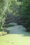 The Buddha's Bridge