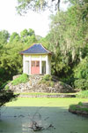 The Buddha's Pagoda