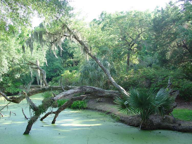 Avery Island