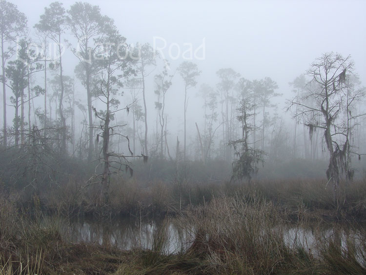 Fog on Bayou Paquet 1