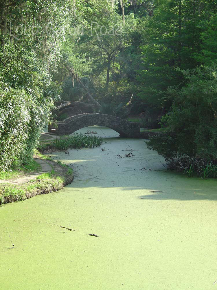 The Buddha's Bridge